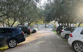 Apartment Dario